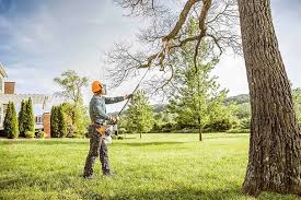 Best Tree Mulching  in Middleburg, PA